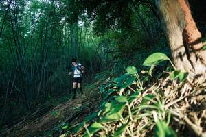 BIB: 
                            <button type="button" onclick="openModal(28124040)" class="btn btn-primary btn-sm float-right btn-popup" data-toggle="modal" data-target=".modal-high-quality">
                        <i class="fas fa-shopping-cart"></i> Add to Cart
                    </button>
                                            <button type="button" onclick="isThisMe(28124040, true)" class="btn btn-success btn-sm float-right btn-popup btn-isme hidden" data-toggle="tooltip" data-placement="bottom" title="นี่คือรูปของคุณใช่ไหม คลิกที่นี่เพื่อเอาเข้าอัลบั้ม">
                        <i class="fas fa-plus"></i> Add to album
                    </button>
                    <button type="button" onclick="isThisMe(28124040, false)" class="btn btn-warning btn-sm float-right btn-popup btn-isnotme hidden">
                        <i class="fas fa-ban"></i> Remove from album
                    </button>